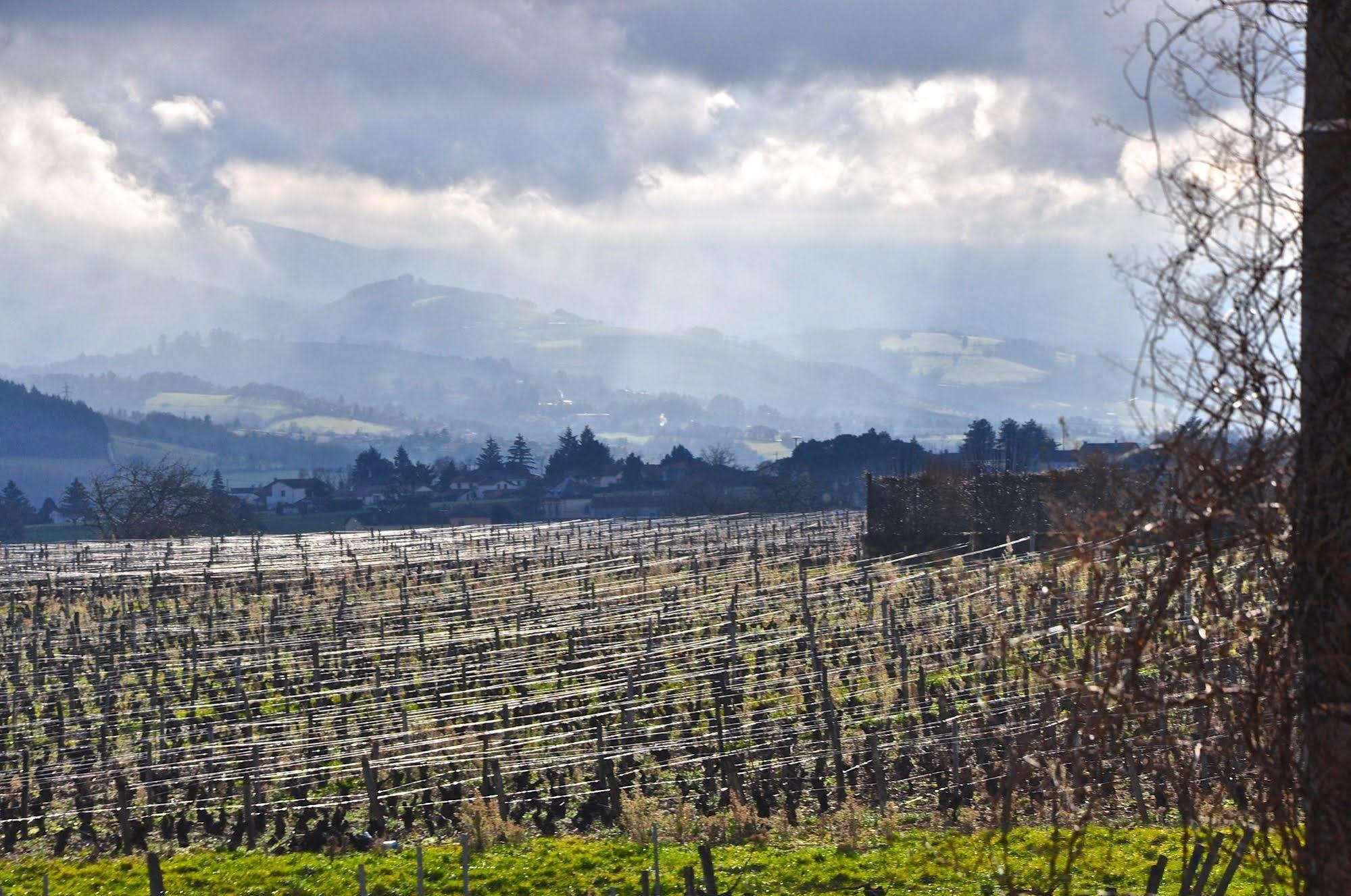 Le Clos Du Cher En Beaujolais Saint-Germain-Nuelles ภายนอก รูปภาพ