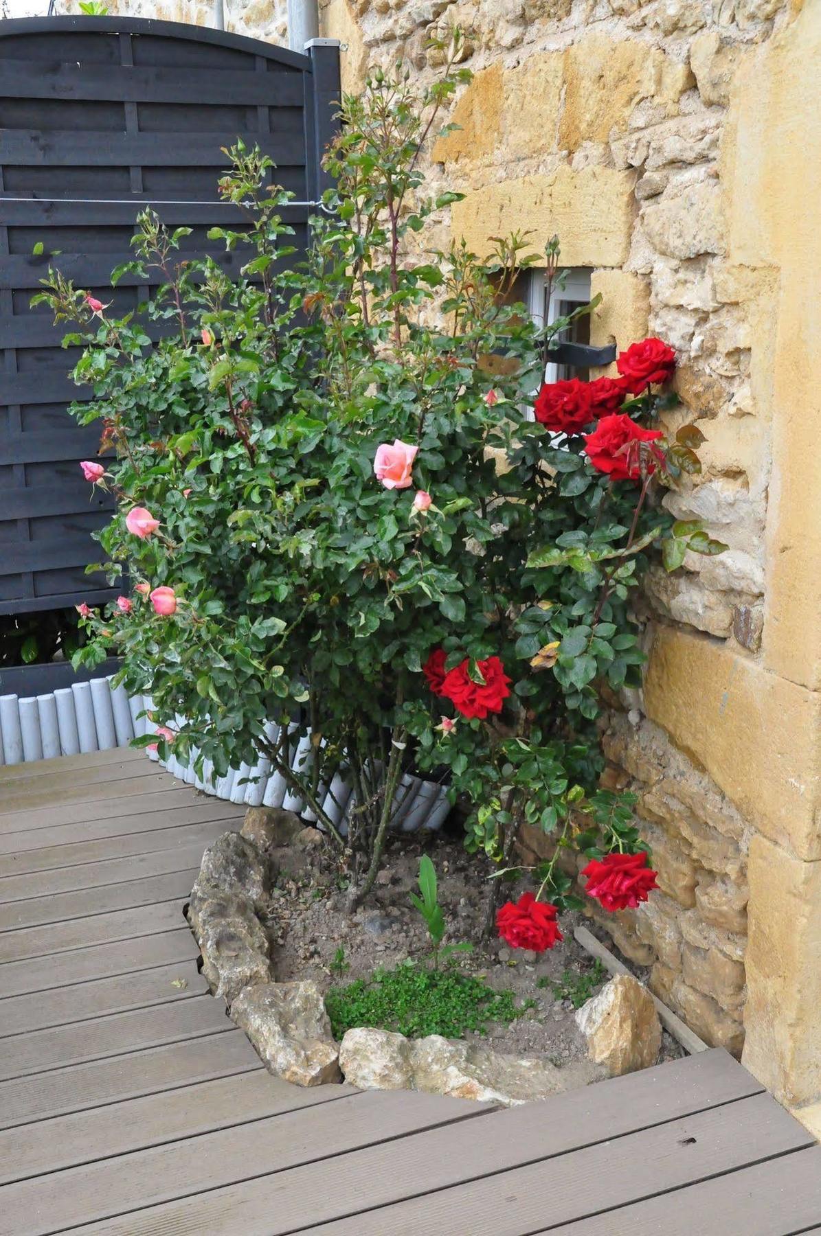 Le Clos Du Cher En Beaujolais Saint-Germain-Nuelles ภายนอก รูปภาพ