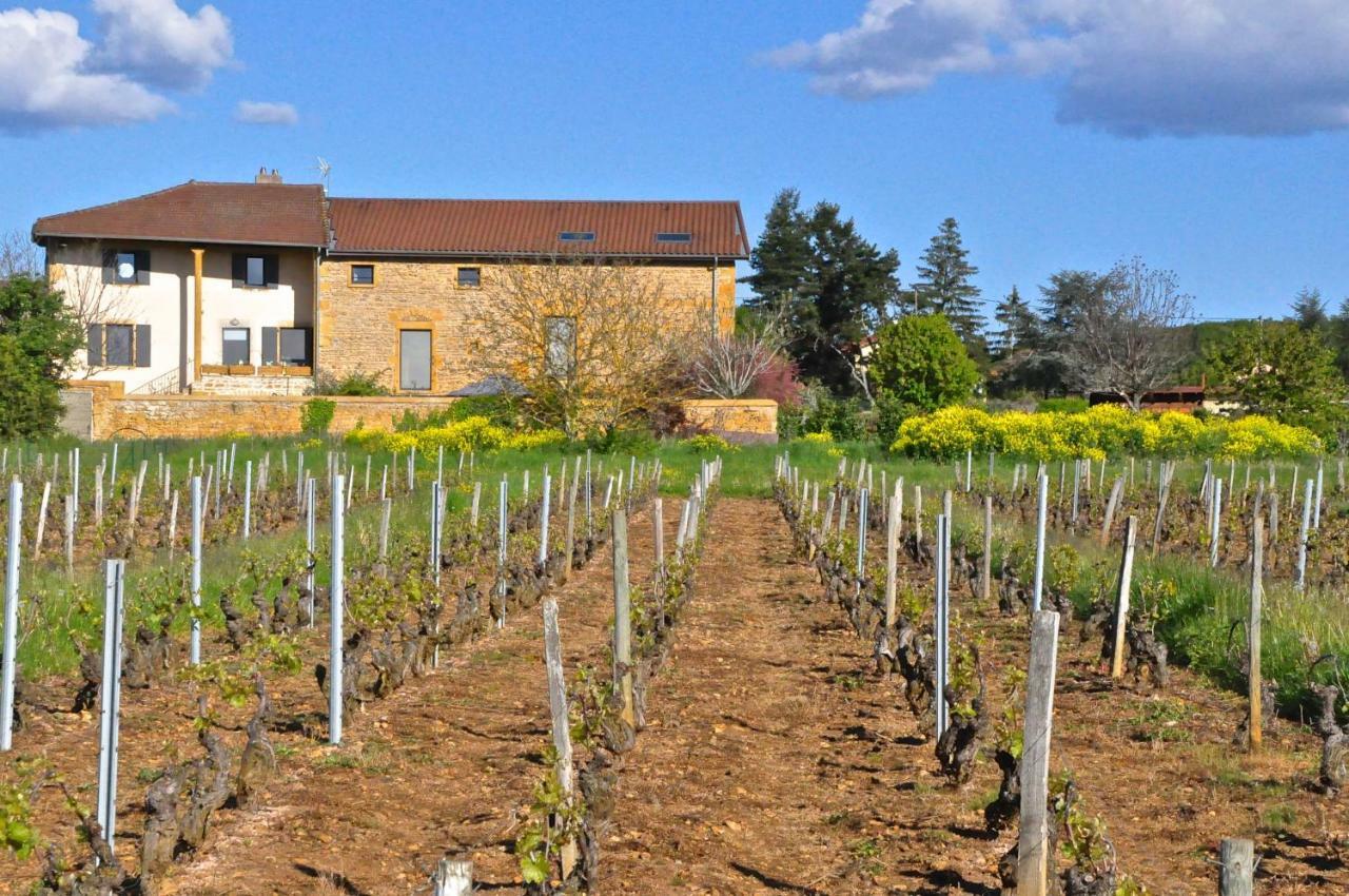 Le Clos Du Cher En Beaujolais Saint-Germain-Nuelles ภายนอก รูปภาพ